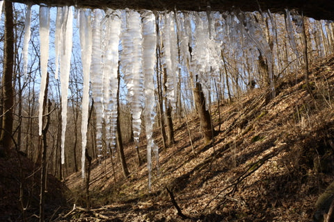 icicles on waterfalls edge along wild hyacinth trail in turkey run park