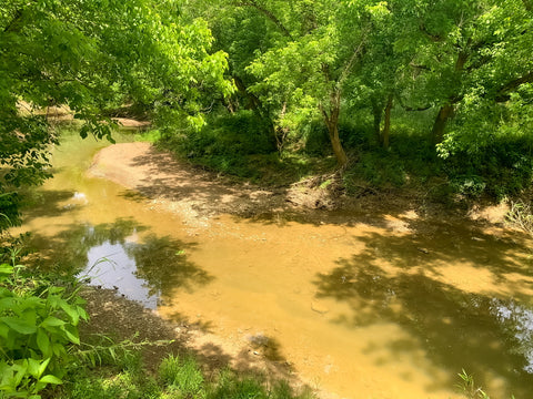 creek containing prehistoric sabertooth tiger bones in big bone lick state park