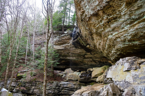 anglin falls cascading over large rockshelter in kentucky