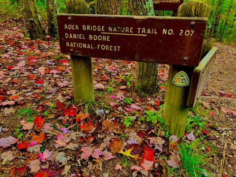 whistling arch trail red river gorge