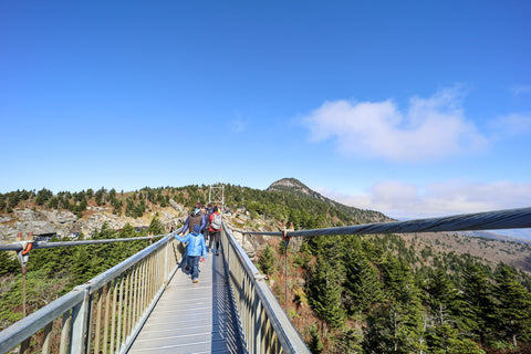 view from mile high swinging bridge on grandfather mountain