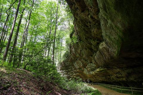 rock shelter underneath sandstone cliffs along Hazard Cave trail in Pickett CCC State Park