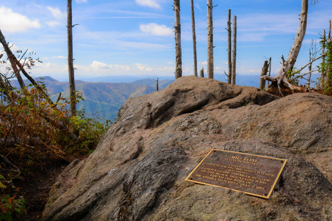 Summit of Big Tom Mountain along the Deep Gap and Black Mountain Crest Trail within Mount Mitchell State Park North Carolina
