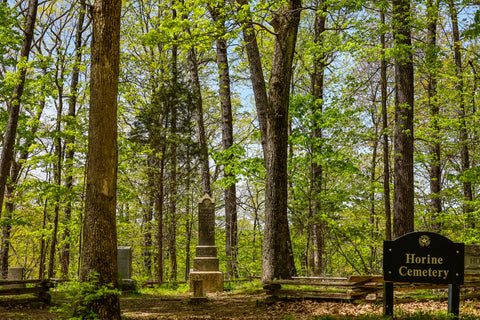 Red Trail Horine Reservation Jefferson Memorial Forest