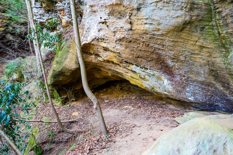 hidden caves along henson's arch trail in natural bridge state park kentucky