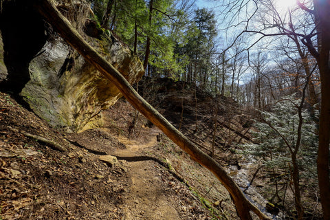 Peering down into boulder canyon along trail 9 in Turkey Run State Park Indiana 