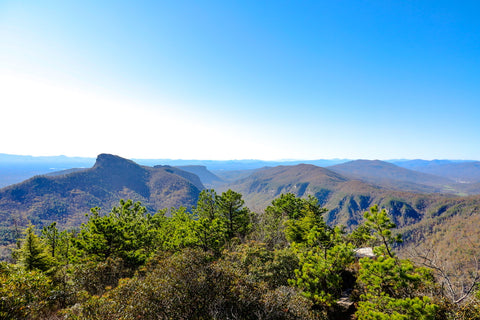 view of the linville gorge canyon from the summit of hawksbill mountain