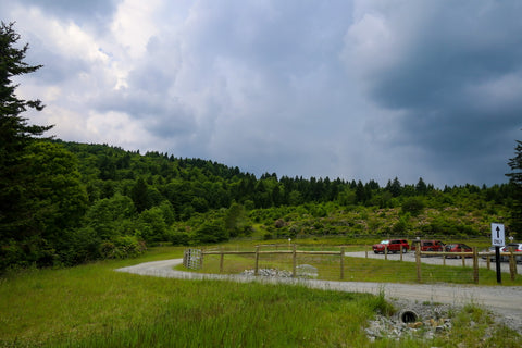 cabin creek trailhead in grayson highlands state park virginia