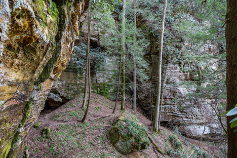 cave and rockshelters along henson's arch trail in natural bridge state park kentucky