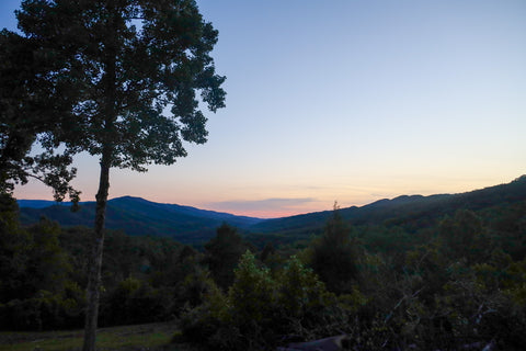 pine mountain state park