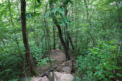 Short springs natural area waterfall hiking trails Tennessee state parks Machine falls trail