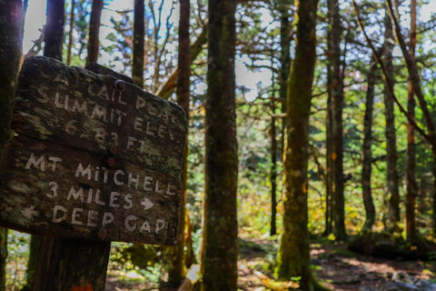 Summit of Cattail Peak along the Deep Gap and Black Mountain Crest Trail of Mount Mitchell State Park in North Carolina