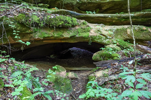 natural bridge arch in pickett ccc state park