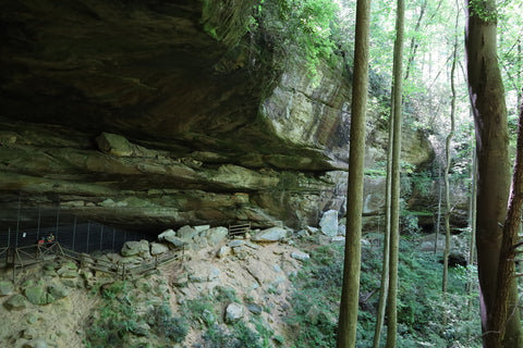 d boon hut trail red river gorge