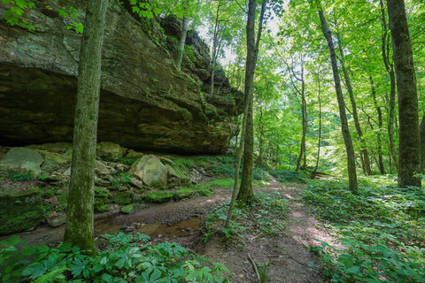 Expansive rock shelter along the trail to double falls in yellow birch ravine nature preserve Indiana 