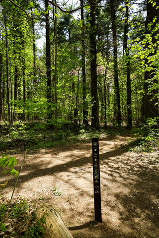 Red Trail Horine Reservation Jefferson Memorial Forest