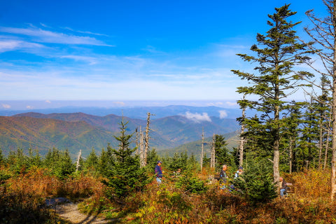 Expansive views of the Blue Ridge Mountains from the Deep Gap Trail within Mount Mitchell State Park in North Carolina