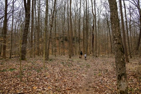 Hiking to bowl and horseshoe falls in yellow birch ravine nature preserve Indiana 