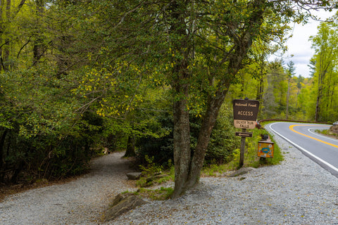 <p><span class="Apple-converted-space"> </span></p> <p> </p> <p>Right off the bat, the gravel trail enters the forest and cuts through an understory of rhododendrons and pines filled with blooming blueberries, mountain laurel, and all other kinds of wildflowers you might expect in early May. The musky scent of wet pine needles mixed with the sweet perfume of the laurels is what I associate most with hiking in the Appalachian Mountains. You’ll pass a small side trail to the left that leads off-trail to another waterfall most visitors are unaware exists, Upper Silver Run Falls. This 20 ft waterfall upstream from the main Silver Run Falls is beautiful in its own right, but requires a hefty hike and dicey vertical scramble to reach. HikingWNC has a great article on this waterfall and how to reach it for anyone interested.</p> <p style="text-align: center;"> <img src="https://cdn.shopify.com/s/files/1/0270/1760/9300/files/B044D4C2-8D7A-4FA5-B6C4-DCDEDD26CCCC_480x480.jpg?v=1684858083" alt="    Silver Run Falls Trailhead     There are many pull-outs along this highway that lead to dozens of little known trails in the Nantahala National Forest which end with magnificent mountain vistas or at jaw dropping waterfalls. If you see a random car parked on the side of the road here chances are they’re chasing waterfalls. For this particular hike, we drove 4 miles south of Cashiers until spotting the bright yellow Forest Service sign for Silver Run Falls. Google Maps has the trailhead in their directory so getting here was a breeze. Being early in the evening, we had the place all to ourselves which made it that much more special. At only 0.16 miles long, this trail has one of the best bangs for your buck for all of the scenery that gets packed into such a short duration.      Right off the bat, the gravel trail enters the forest and cuts through an understory of rhododendrons and pines filled with blooming blueberries, mountain laurel, and all other kinds of wildflowers you might expect in early May. The musky scent of wet pine needles mixed with the sweet perfume of the laurels is what I associate most with hiking in the Appalachian Mountains. You’ll pass a small side trail to the left that leads off-trail to another waterfall most visitors are unaware exists, Upper Silver Run Falls. This 20 ft waterfall upstream from the main Silver Run Falls is beautiful in its own right, but requires a hefty hike and dicey vertical scramble to reach. HikingWNC has a great article on this waterfall and how to reach it for anyone interested.     Crossing the Whitewater River     A few short minutes in and you’ll reach the walking bridge spanning the Whitewater River. Up until recently this crossing was merely a simple log, but for safety reasons the Forest Service constructed this sturdy bridge in its place. At this point upstream the Whitewater River is only a dozen feet wide, hinting little as to how enormous this river becomes by the time it reaches Whitewater Falls. Through the trees one can make out Silver Run Falls and hear its booming sound just a skip and a hop away. After crossing the bridge, the trail abruptly ends at a large rock outcropping on the shores of Silver Run Falls large wading pool.      Silver Run Falls      It may not be the tallest or largest waterfall in the Blue Ridge Mountains, but it sure is beautiful. The picturesque scene here screams Western North Carolina. Most people hangout on this outcropping and its the most photographed view of Silver Run Falls I’ve come across. Following the base of the cliff you can walk right up to the precipice of Silver Run Falls and feel the fine misty spray of its 25 ft drop.  Using some of the larger rocks, I made my way across the stream that drains Silver Run Creek into the Whitewater River and landed on the shore opposite the falls. In just a few short weeks this beach will be packed with swimmers bathing in the cool mountain stream and it’ll be impossible to find parking here.   Silver run falls Nantahala National Forest North Carolina hiking trail waterfalls" /></p>