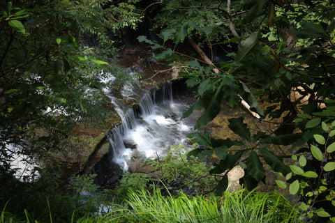 Short springs natural area waterfall hiking trails Tennessee state parks Busby falls 