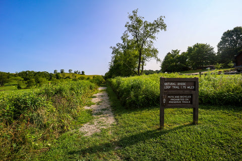 trailhead for Rockbridge State nature preserve in hocking county, Ohio 