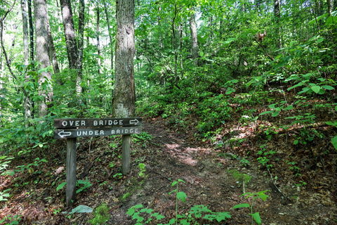 natural bridge trailhead in pickett ccc state park