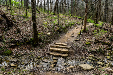 crossing a woodland creek along wild hyacinth trail in turkey run park