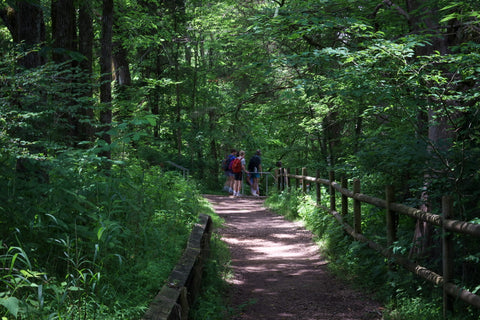 Burgess falls state park river hiking trail waterfalls Tennessee 