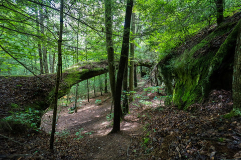 Needle arch landmark along slave falls loop in big south fork of Tennessee