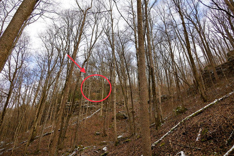 small caves along the anglin falls trail in kentucky