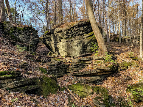 fairmount falls jefferson memorial forest