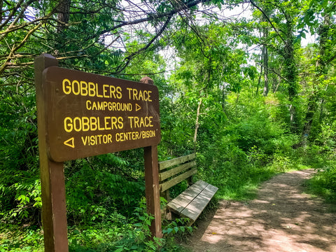 gobblers trace trail in big bone lick state park