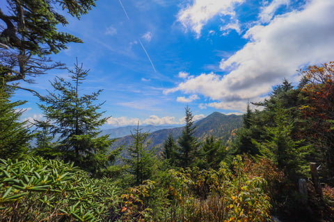 Scenic mountain views from the Deep Gap and Black Mountain crest Trail In Mount Mitchell State Park North Carolina