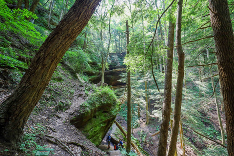 Start of rim trail within Cantwell cliffs area of Hocking hills state park Ohio