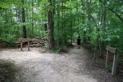 Short springs natural area waterfall hiking trails Tennessee state parks Machine falls 