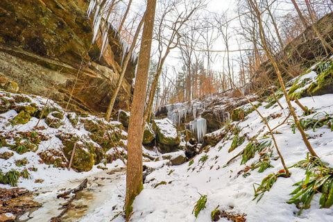 hemlock cliffs box canyon hiking trail hoosier national forest indiana hiking trail