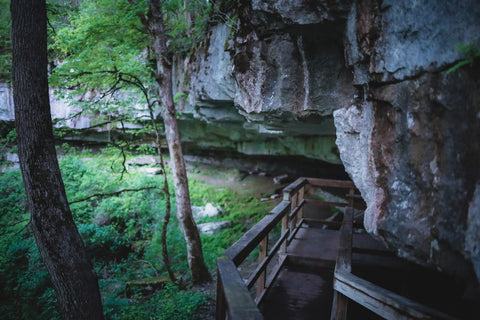 Cliff dwelling along cedar sink trail in mammoth cave National park Kentucky 