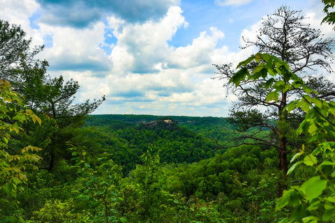 chimney top rock trail red river gorge