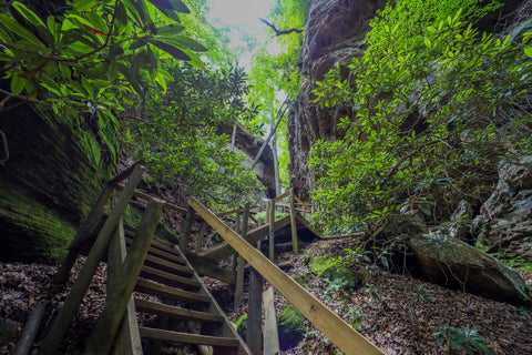 Devils gulch stairway in natural bridge state resort park Kentucky 