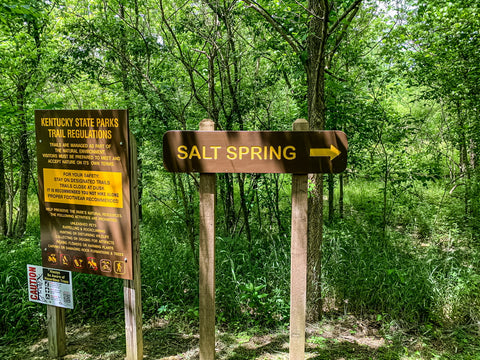 big bone creek salt spring trail signs in big bone lick state park