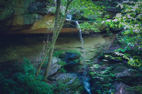 Piney creek ravine waterfall prehistoric rock art site petroglyphs Illinois 