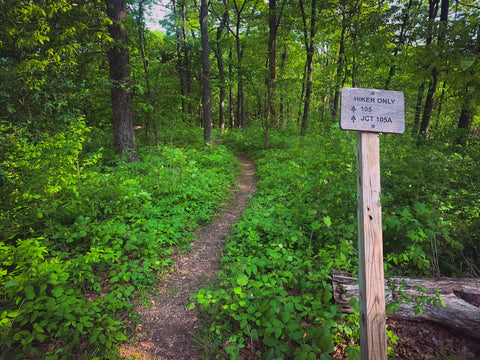 High knob overlook picnic area hiking trails in Shawnee National forest Illinois 