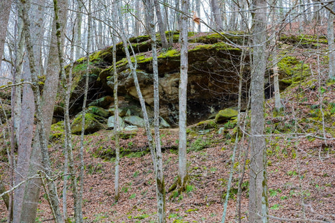 Entrance to large rockshelter in yellow birch ravine nature preserve Indiana 