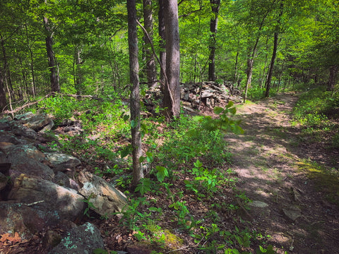 Stone fort hiking trail in giant city state park Illinois prehistoric site