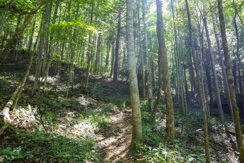 courthouse rock trail