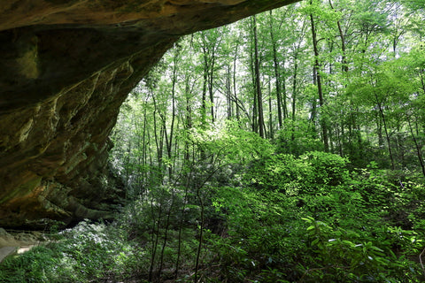 view of surround cliffs hiding Hazard Cave in Pickett CCC State Park