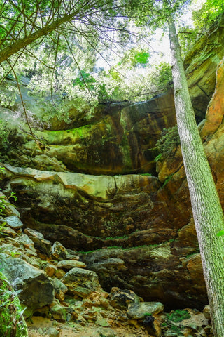 grays arch trail red river gorge