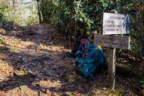 The Low Gap Trail and Appalachian Trail junction rests on a physical landmark known as, “Low Gap”