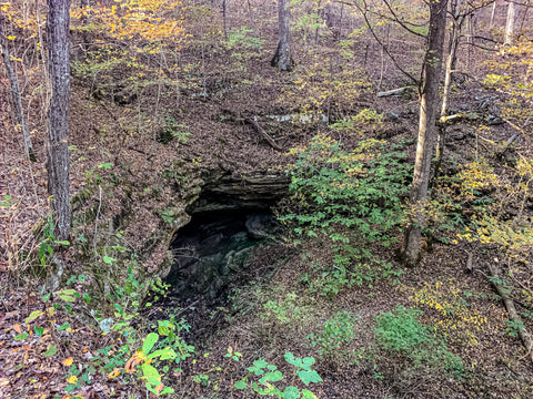 sand cave trail in mammoth cave national park