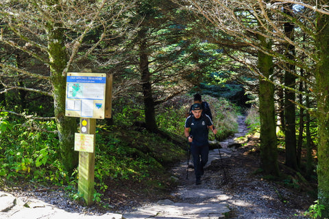 Commissary and Old Mitchell trailhead in mount Mitchell state park north carolina 